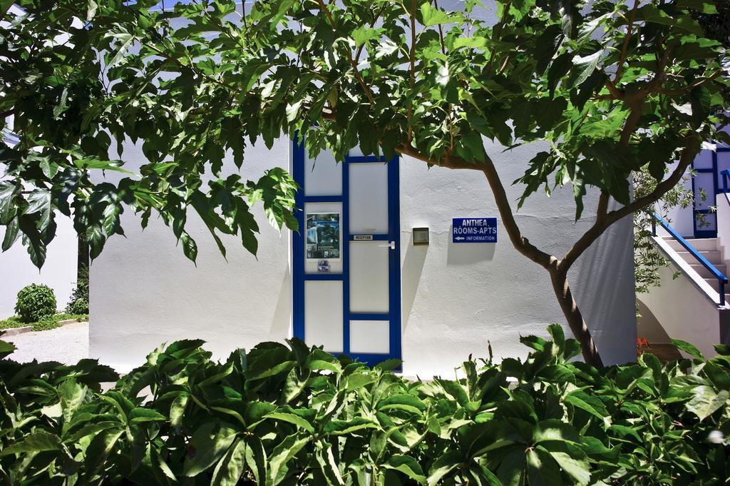 Anthea Apartments Palaiochora Exterior photo